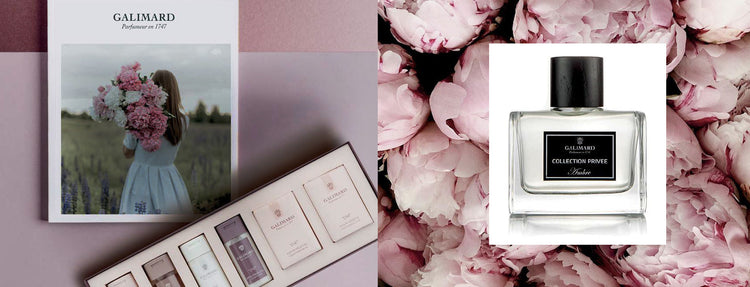 TRADITION, TIMELESS, TERRITORY. Today Galimard is still a family owned and operated enterprise. Its contemporary management style allows its creative branch to breathe life and love into its newest perfume masterpieces.  GFL FINE PARFUMERY Amenities