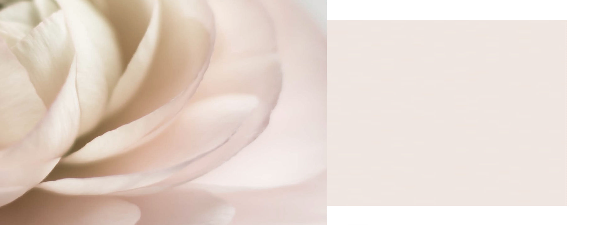 Gfl Hopal fresh perfumed natural cosmetics