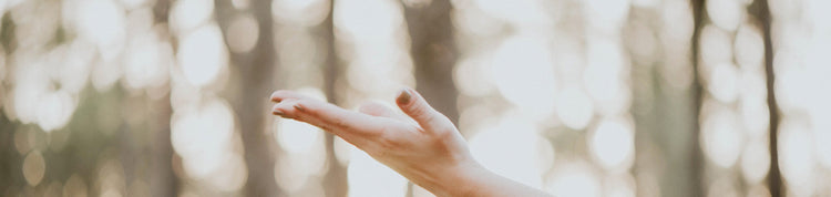 Neutral Pack Compensation. We use a method to offset the annual emission of CO2 generated during the production of the packaging without compromising the quality or quantity of natural resources. GFL eco friendly toiletries without carbon foot print.