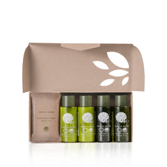 Geneva Green, Big Amenities Paper Box